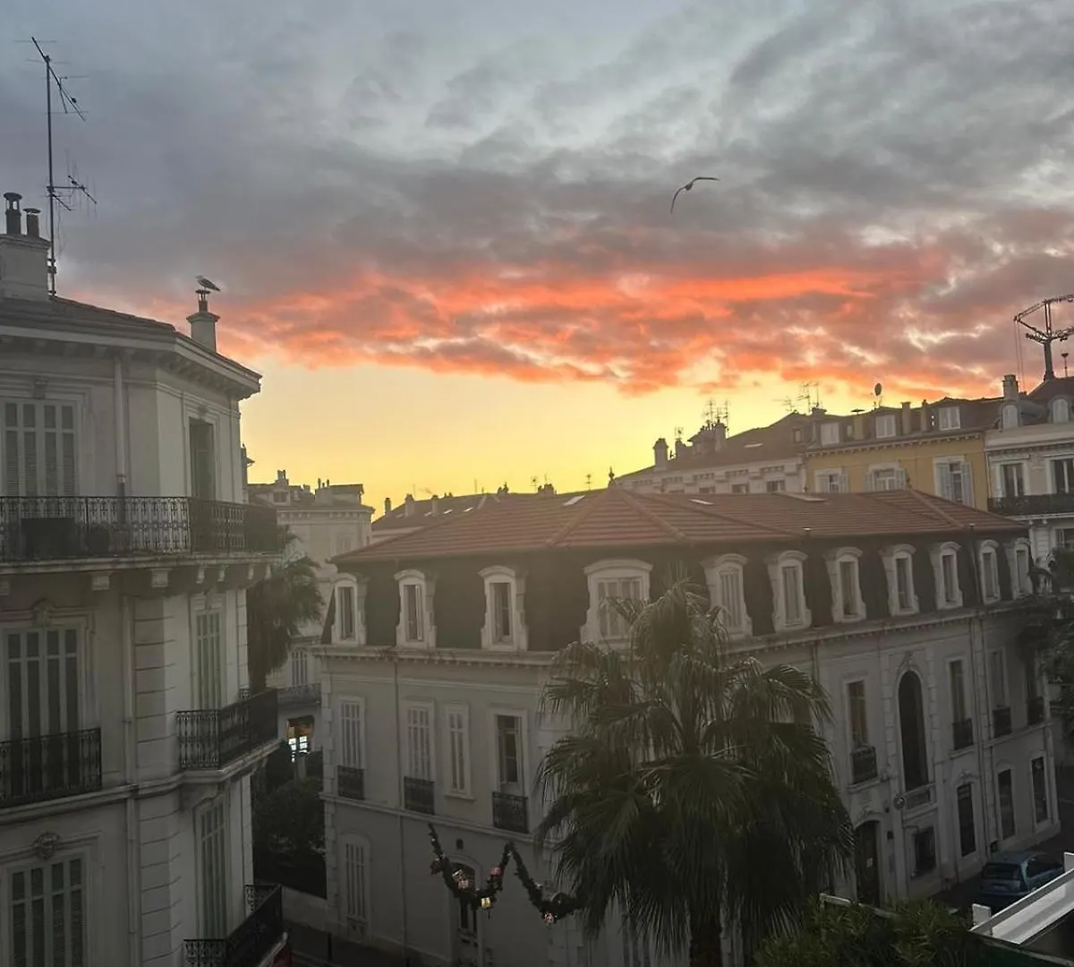 Apartment Cannes Centre 1 Bedroom Et Sofa